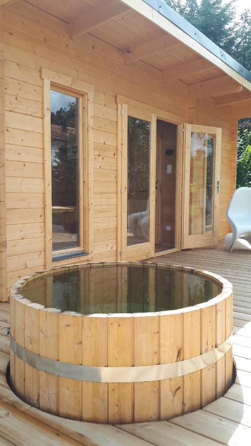 Gite "Le Mesminois" Etablissement Avec Espace Bien-Etre Et Sauna Saint-Mesmin  エクステリア 写真