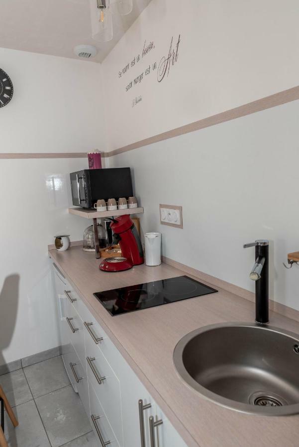 Gite "Le Mesminois" Etablissement Avec Espace Bien-Etre Et Sauna Saint-Mesmin  エクステリア 写真